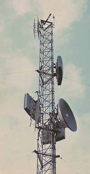 Torn med antenner