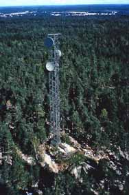 Torn med antenner
