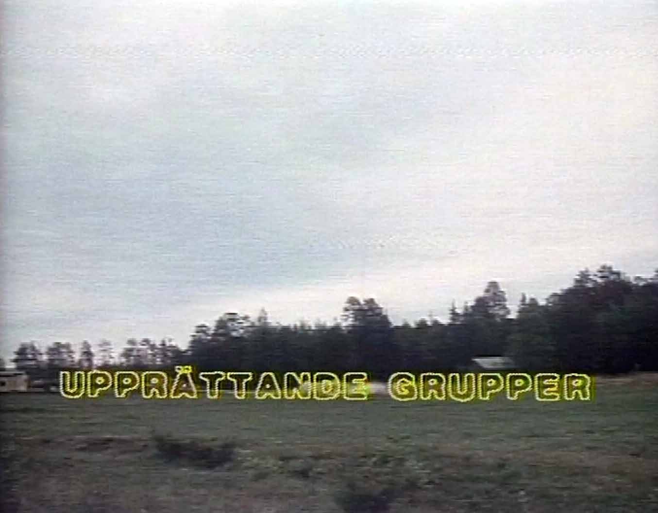 Upprättandegrupper